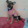 Vitória