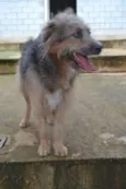 RUFFUS - um principe!
