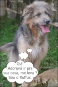 RUFFUS - um principe!