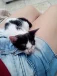 Giovana