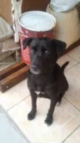 DALILA