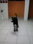 Bolinha