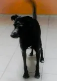Bolinha
