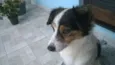 Julieta