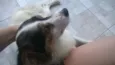 Julieta