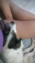Julieta