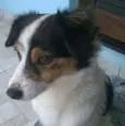 Julieta