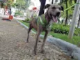 Tambor