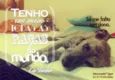 Tambor
