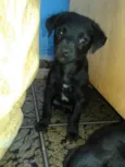 Recém Nascidos