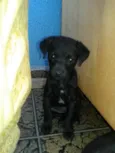 Recém Nascidos