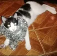 Josefina
