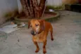não sei