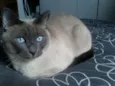 Marley