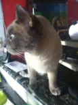 Marley