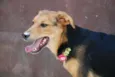 FRIDA - Uma paixão!