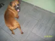 NINA