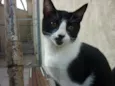 JOAQUIM