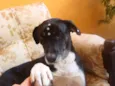 SABINA