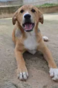 MARC, 7 MESES, um
