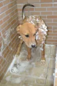 MARC, 7 MESES, um