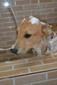 MARC, 7 MESES, um