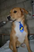 MARC, 7 MESES, um
