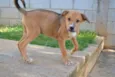 MARC, 7 MESES, um