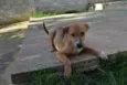 MARC, 7 MESES, um