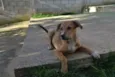 MARC, 7 MESES, um