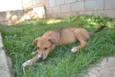 MARC, 7 MESES, um