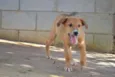 MARC, 7 MESES, um
