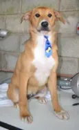 MARC, 7 MESES, um