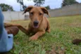 ABEL, 8 MESES, BEBE
