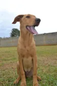 ABEL, 8 MESES, BEBE
