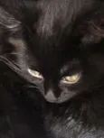 Joaquim