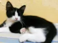 Tom