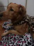 Mel