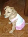 Mel