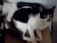 Nao possui nome