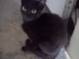 Nao possui nome
