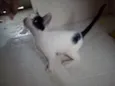Nao possui nome