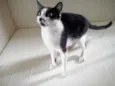 Nao possui nome