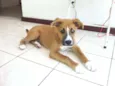 Marley