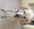 Desconhecido (atend