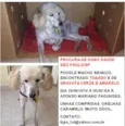 Desconhecido (atend