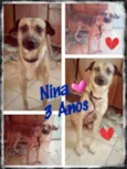 Nina