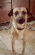 Nina