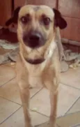 Nina