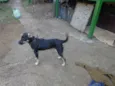 Spike